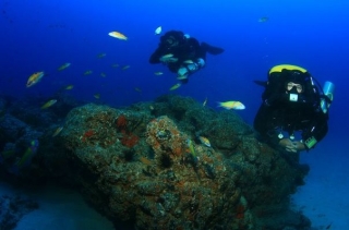 Entorno marino